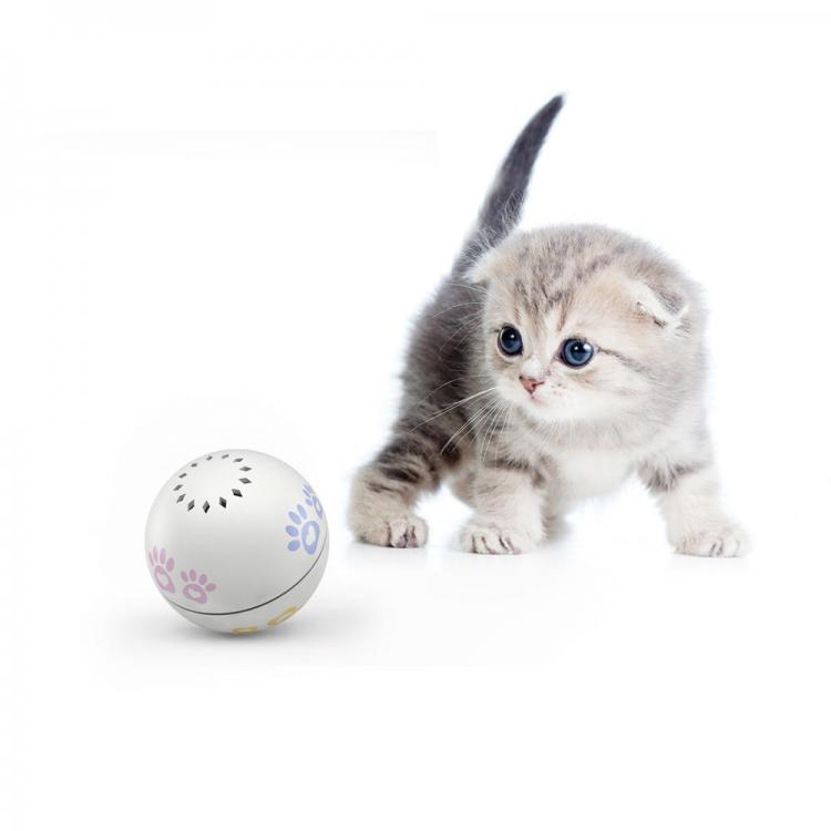 Diamond Wings Store ניסוי PETONEER PBL010 Smart USB Charging Electric Cat Companion Ball Cat Toy Built-In Catnip Box Irregular Scrolling Funny Cat Artifact 